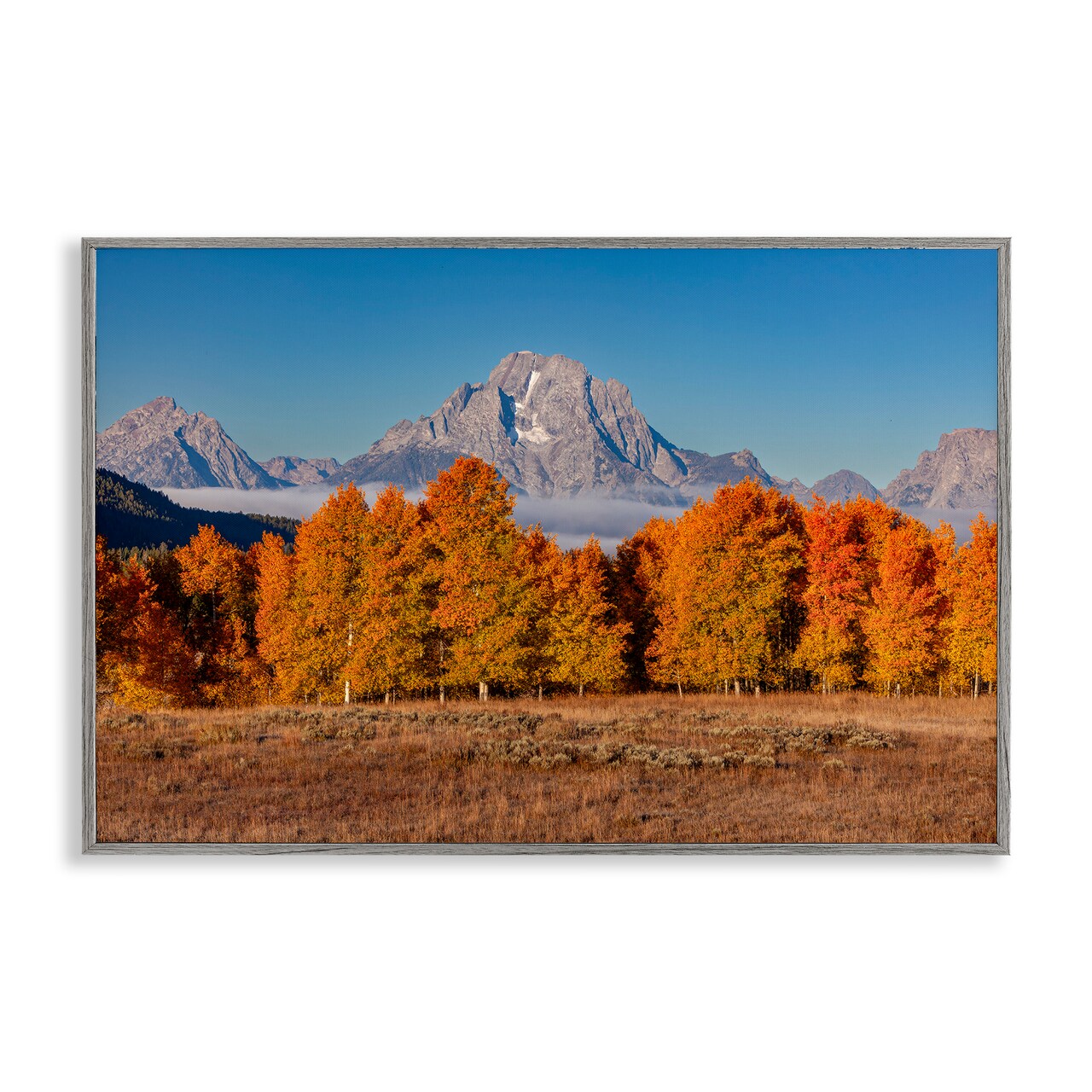 Stupell Industries Autumn Tree Line With Mountain Framed Giclee, design by Shelley Carlisle